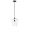 Z-Lite Joliet 1 Light Pendant, Matte Black & Clear 473P9-MB - alternate 2